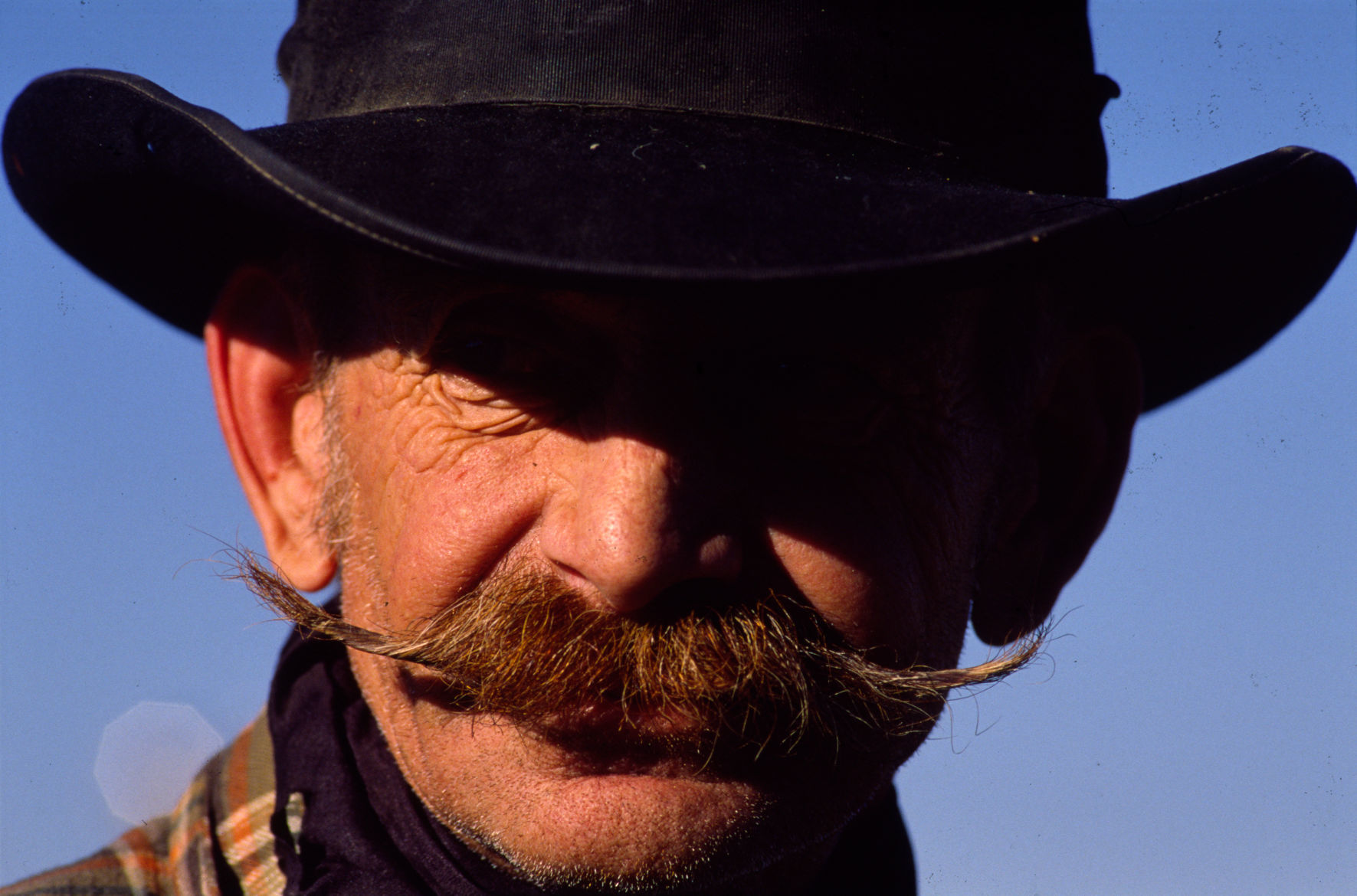 Great Montana Centennial Cattle Drive